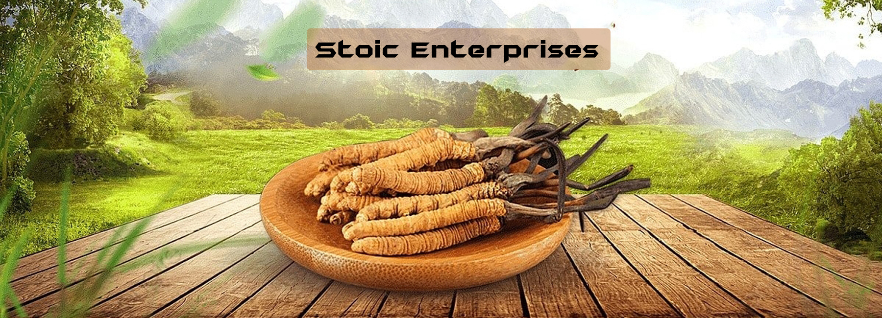 Stoic Enterprises